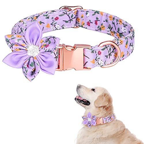 TDTOK Hundehalsband für Mädchen für kleine, mittelgroße und große Hunde, niedliches Hundehalsband mit abnehmbarer Blumen-Sicherheits-Metallschnalle, passend für Halsumfang von 26.7,60.6 cm TDTOK Hundehalsband für Mädchen für kleine, mittelgroße und große Hunde, niedliches Hundehalsband mit abnehmbarer Blumen-Sicherheits-Metallschnalle, passend für Halsumfang von 26.7,60.6 cm von TDTOK