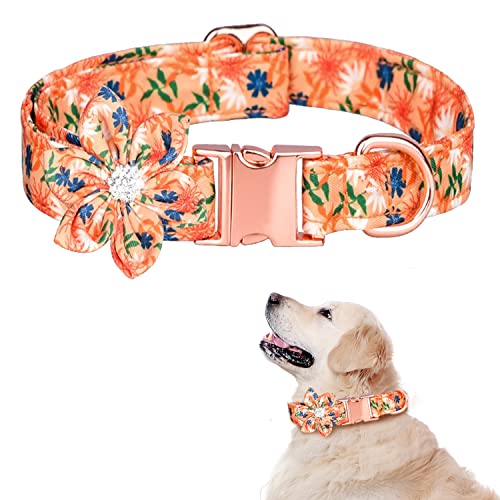 TDTOK Hundehalsband für Mädchen für kleine, mittelgroße und große Hunde, niedliches Hundehalsband mit abnehmbarer Blumen-Sicherheits-Metallschnalle, verstellbares Blumenmuster,60.6 cm (M, Orange) von TDTOK