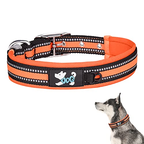 TDTOK Reflektierendes Hundehalsband für große, mittelgroße und kleine Hunde, mit atmungsaktivem, weichem Neopren gepolstert, verstellbares, strapazierfähiges,68.9 cm (M, Orange) von TDTOK