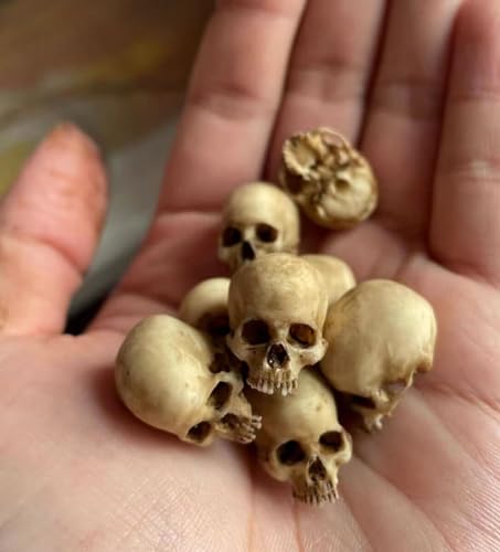 TEAFIRST 20 Stück Mini-Totenkopf-Dekoration aus Kunstharz, Pflanzen-Terrarium, Reptilienhöhle, Aquarium-Dekoration TEAFIRST 20 Stück Mini-Totenkopf-Dekoration aus Kunstharz, Pflanzen-Terrarium, Reptilienhöhle, Aquarium-Dekoration von TEAFIRST