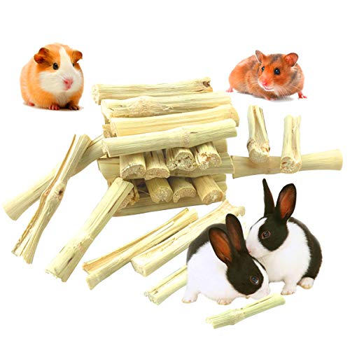 TEBX Kauspielzeug für Haustiere, für Chinchilla, Hamster, Kaninchen, Zweig, süßes Bambus-Kauspielzeug (300 g) von TEBX