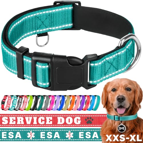 TECEUM Hundehalsband mit Polsterung - Blaugrün - Halsband für alle Rassen und Größen von Katzen und Hunden - L von TECEUM