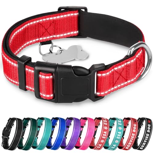 TECEUM Reflektierendes Haustierhalsband - Rot - M - Extra Weiche Polsterung - Basic Nylon Hundehalsband - Schnellverschluss-Schnalle - Passend für kleine, mittelgroße und große Hunde, Welpen, Katzen - TECEUM Reflektierendes Haustierhalsband - Rot - M - Extra Weiche Polsterung - Basic Nylon Hundehalsband - Schnellverschluss-Schnalle - Passend für kleine, mittelgroße und große Hunde, Welpen, Katzen - von TECEUM