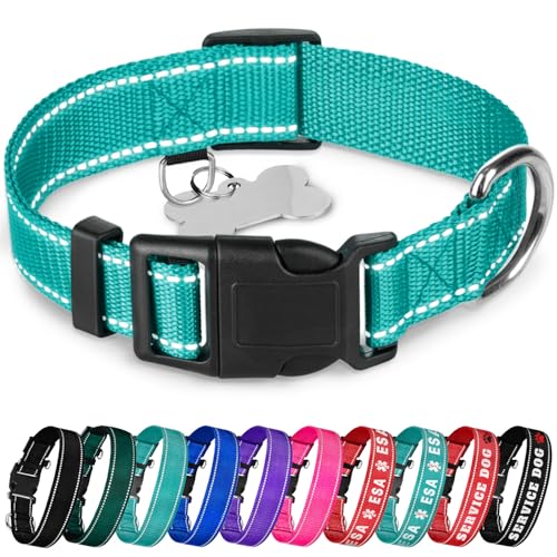 TECEUM Reflektierendes Hundehalsband - Blaugrün - L - Basic Nylon Haustier Halsband - Schnellverschluss-Schnalle - Passend für kleine, mittelgroße und große Hunde, Welpen, Katzen - ESA & Diensthund von TECEUM