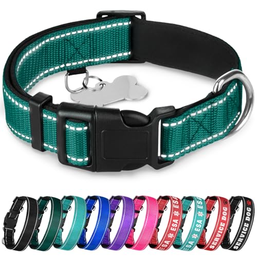 TECEUM Reflektierendes Hundehalsband - Dunkles Smaragdgrün - M - Extra Weiche Polsterung - Basic Nylon Haustier Halsband - Schnellverschluss-Schnalle - Passend für kleine, mittelgroße und große Hunde TECEUM Reflektierendes Hundehalsband - Dunkles Smaragdgrün - M - Extra Weiche Polsterung - Basic Nylon Haustier Halsband - Schnellverschluss-Schnalle - Passend für kleine, mittelgroße und große Hunde von TECEUM