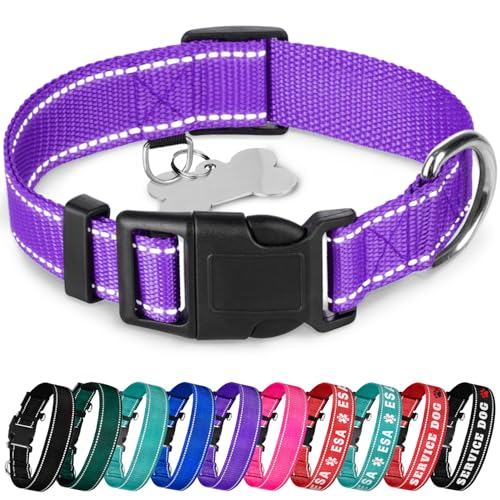 TECEUM Reflektierendes Hundehalsband - Lila - L - Basic Nylon Haustier Halsband - Schnellverschluss-Schnalle - Passend für kleine, mittelgroße und große Hunde, Welpen, Katzen - ESA & Diensthund von TECEUM