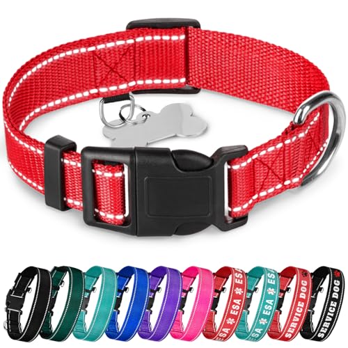 TECEUM Reflektierendes Hundehalsband - Rot - L - Basic Nylon Haustier Halsband - Schnellverschluss-Schnalle - Passend für kleine, mittelgroße und große Hunde, Welpen, Katzen - ESA & Diensthund von TECEUM