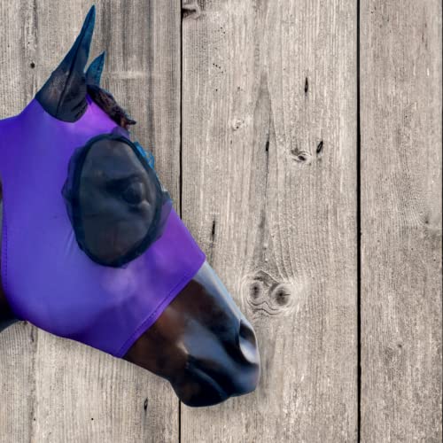 Lycra Fliegenmaske für Pferde mit Ohr- und Vorlocköffnung | Pferd Lycra Fliegenmaske | Lycra Fliegenmaske mit erhöhtem Augennetz | (4-Wege-Stretch-Lycra) (Pferd, lila_solid) von TECH EQUESTRIAN