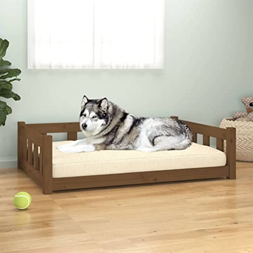 TECHPO Dog Supplies Hundebett Honigbraun 105,5 x 75,5 x 28 cm Massivholz Kiefer Tiere & Haustierbedarf von TECHPO