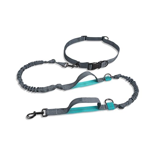 Einziehbare Hundeleine für mittelgroße und große Hunde, 160–260 cm, bequem, stoßdämpfendes Bungee Einziehbare Hundeleine für mittelgroße und große Hunde, 160–260 cm, bequem, stoßdämpfendes Bungee von TECKEEN