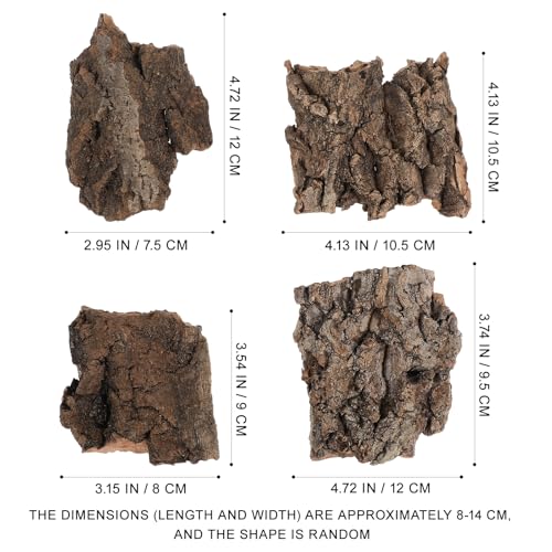 TEHAUX 4 Stück Kletterdekor aus Baumrinde für Reptilien, Natürliche Korkrinde für Terrarien, Reptilienversteck, Sonnenplattform, Lebensraum für Eidechsen, Hellbraun von TEHAUX