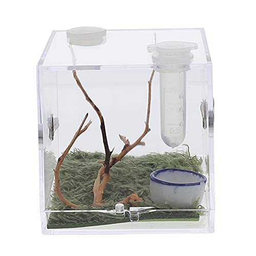 TEHAUX Aufzucht Terrarium Reptilienzuchtbox Acrylschlangenzuchtbox Transparenter Tierlebensraumkäfig Tragbare Schildkröte Transparenter Behälter für Bartagamen Eidechsenspinne Futtertiere Box von TEHAUX