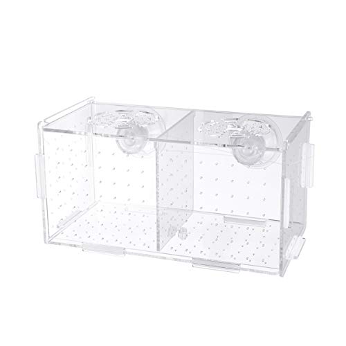 TEHAUX Aquarium Transparente Fischzuchtbox Multifunktionale Acryl- Aquarien- Brutkästen mit Saugnäpfen für Garnelen Guppy Clownfische Aggressive von TEHAUX