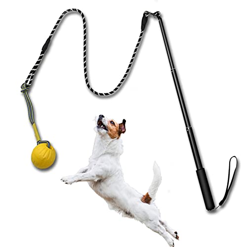 TEKCAM Reizangel Hunde,Ausziehbare Robuste Flirt Pole mit Interaktives Denkspiele Hund Ball Tug Hundespielzeug,Outdoor Haustier Kauen Spielzeug füR Kleine Mittlere GroßE Hundetraining TEKCAM Reizangel Hunde,Ausziehbare Robuste Flirt Pole mit Interaktives Denkspiele Hund Ball Tug Hundespielzeug,Outdoor Haustier Kauen Spielzeug füR Kleine Mittlere GroßE Hundetraining von TEKCAM