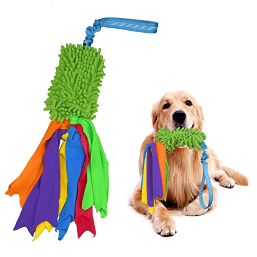 Tekcam Hundespielzeug Mop Bungee Tug Spielzeug mit Squeaky, Zerrspielzeug Hund mit Bungee Griff Chaser Spiele Pull Tugger Spielzeug Kauspielzeug füR Kleine Mittlere GroßE Hunde Training Agility von TEKCAM