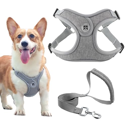 Hundegeschirr und Leine Set, Verstellbares Welpengeschirr, reflektierendes Step in Welpengeschirr, Hundegeschirr Kein Ziehen, Geschirre Kleine Hunde mit Leine, für Kleine Hunde, Katzen von TELAOBAN
