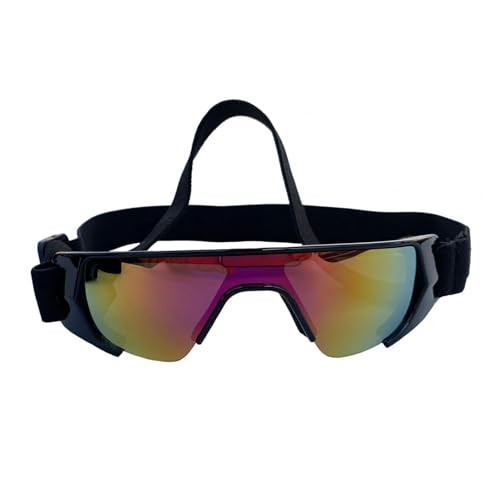 TEMOOUES Winddichte Sonnenbrille für Haustiere, Hunde, Augenschutz, Schutz für Outdoor-Augenschutz, Sportzubehör TEMOOUES Winddichte Sonnenbrille für Haustiere, Hunde, Augenschutz, Schutz für Outdoor-Augenschutz, Sportzubehör von TEMOOUES