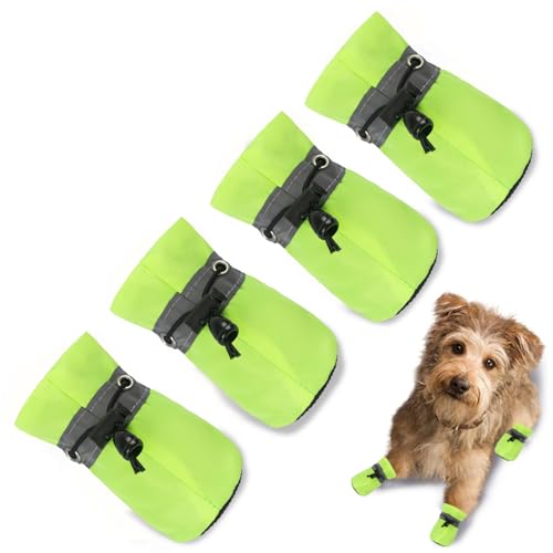 TEOZZO Hundeschuhe, Hundeschuhe und Pfotenschutz, rutschfeste Sohle, Winter-Hundeschuhe mit reflektierenden Riemen, Schneestiefel für kleine und mittelgroße Hunde, 4 Stück, Hellgrün, 3 TEOZZO Hundeschuhe, Hundeschuhe und Pfotenschutz, rutschfeste Sohle, Winter-Hundeschuhe mit reflektierenden Riemen, Schneestiefel für kleine und mittelgroße Hunde, 4 Stück, Hellgrün, 3 von TEOZZO