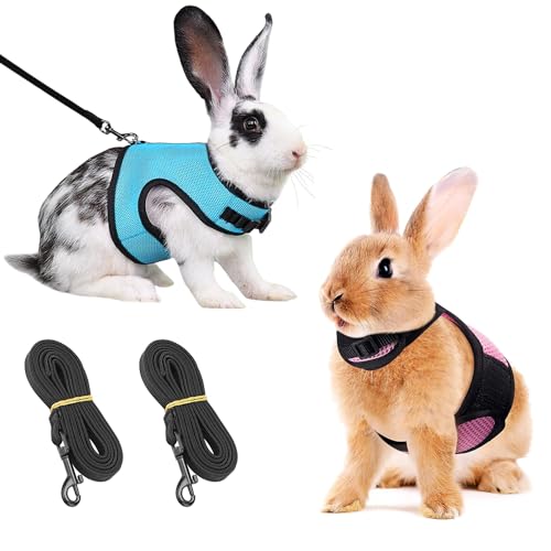 2 Stück Kaninchen Leine, Blau & Rosa Einstellbar Hasenleine, Elastisch Kaninchen Geschirr, Kaninchengeschirr mit Leine für Kleintiere, Kaninchen Zubehoer von TERJBG