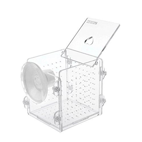 Fisch-Trennzüchterbox, Acryl, transparent, für Aquarien, Zucht, Isolationsboxen, Aquarium, Brutstätte, Handventilator, Mini-Ventilator, tragbar, batteriebetrieben, faltbar, 2000 mAh, tragbar von TERNCOEW