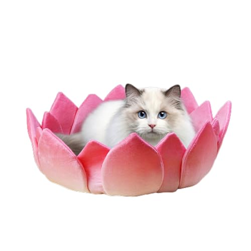 Kratzunterlage für interaktives Kratzbrett Spielzeug Wellpapier Katzen Kratzbrett Möbel Schützende Katzen Bett Interaktives Spielzeug Nest Bett Haustierbedarf für Katzen Möbel Kratzunterlage für interaktives Kratzbrett Spielzeug Wellpapier Katzen Kratzbrett Möbel Schützende Katzen Bett Interaktives Spielzeug Nest Bett Haustierbedarf für Katzen Möbel von TERNCOEW