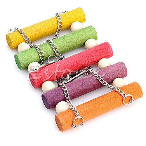 Papageien-Schaukelspielzeug, Haustier-Vögel, Käfig-Spielzeug, Holz-Hängematte, lustiges Hängespielzeug für Vogel, Sittiche, Aras, Papageien, Liebe, Vögel, Geflügel, Zubehör, Hahn Papageien-Schaukelspielzeug, Haustier-Vögel, Käfig-Spielzeug, Holz-Hängematte, lustiges Hängespielzeug für Vogel, Sittiche, Aras, Papageien, Liebe, Vögel, Geflügel, Zubehör, Hahn von TERNCOEW