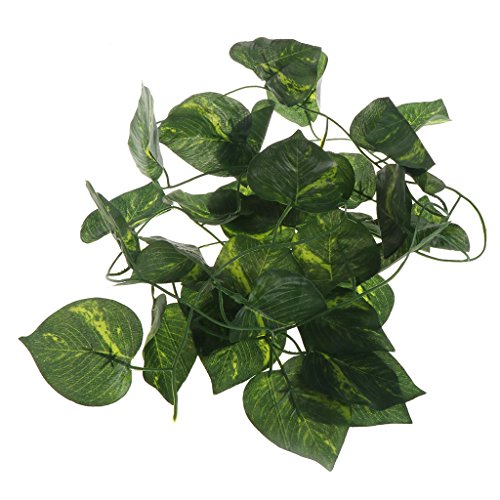 TERNCOEW Künstlich für Kletterterrarium Dschungel biegbar Amphibien Lebensraum Ornamente Bartdrachen Zubehör Treibholz Zubehör Heizkissen TERNCOEW Künstlich für Kletterterrarium Dschungel biegbar Amphibien Lebensraum Ornamente Bartdrachen Zubehör Treibholz Zubehör Heizkissen von TERNCOEW