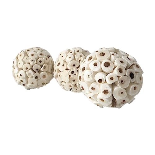 TERNCOEW Papageien Hamster Kaninchen Zähne Schleifen Werkzeuge Beißring Spielzeug Haustier Pflanze Wurzel Getrocknete Natürliche Pflanzenwurzel Beißgras Kauspielzeug Vogel Zerkleinerbares Spielzeug TERNCOEW Papageien Hamster Kaninchen Zähne Schleifen Werkzeuge Beißring Spielzeug Haustier Pflanze Wurzel Getrocknete Natürliche Pflanzenwurzel Beißgras Kauspielzeug Vogel Zerkleinerbares Spielzeug von TERNCOEW