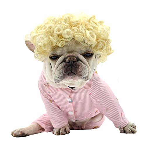 Funny Hund Perücke, Katze Rollenspiel Perücke, Halloween, Weihnachten, Partys, Fest für Haustiere Perücke, kleine, mittlere und große Hunde Perücke (Goldene Haare) von TESSVEYA