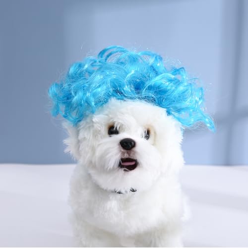 Lustige Cosplay-Perücke für Hunde und Katzen, Kopfbedeckung, Spielzeug, Haustierkostüme, Katzen-Verkleidung für Halloween, Weihnachten, Partys, Festivals, Hundeperücken für kleine, mittelgroße und von TESSVEYA