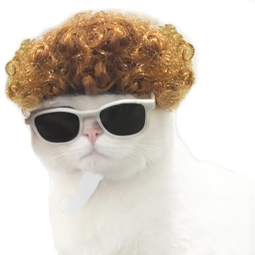 Lustige Katzen-Cosplay-Perücke, Kopfbedeckung, Spielzeug, Katzen-Kostüm für Halloween, Weihnachten, Partys, Festivals (explosives Gelb) von TESSVEYA