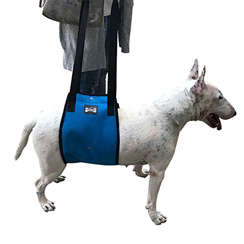 TFENG Hundegeschirr Tragehilfe, Hunde Gehhilfe Rehahilfe mit Griff, Geschirr für Hunde Verletzungen und Arthritis (Blau, S) von TFENG