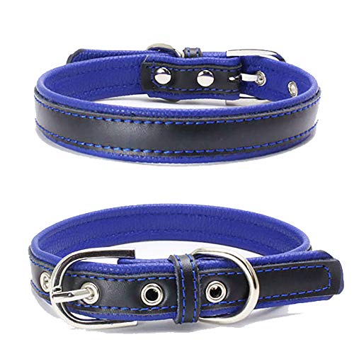 TFENG Hundehalsband, Verstellbarer Lederhalsband Basic Bling Halsbänder für Katzen und Hunde(Blau,XL) von TFENG