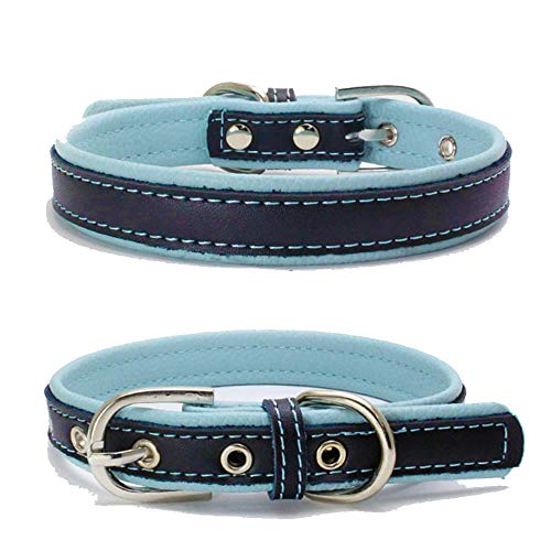 TFENG Hundehalsband, Verstellbarer Lederhalsband Basic Bling Halsbänder für Katzen und Hunde(Hellblau,M) von TFENG
