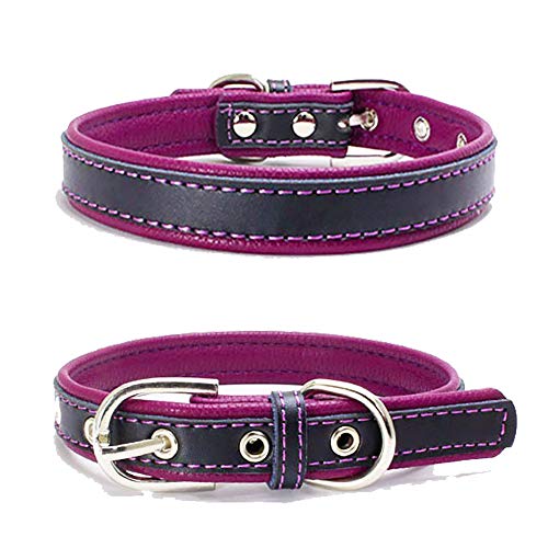 TFENG Hundehalsband, Verstellbarer Lederhalsband Basic Bling Halsbänder für Katzen und Hunde(Lila,L) von TFENG