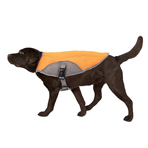 TFENG Pet Cooling Dog Weste Sommermantel Leichte Wiederverwendbare für große Hunde (Orange, 2XL) von TFENG