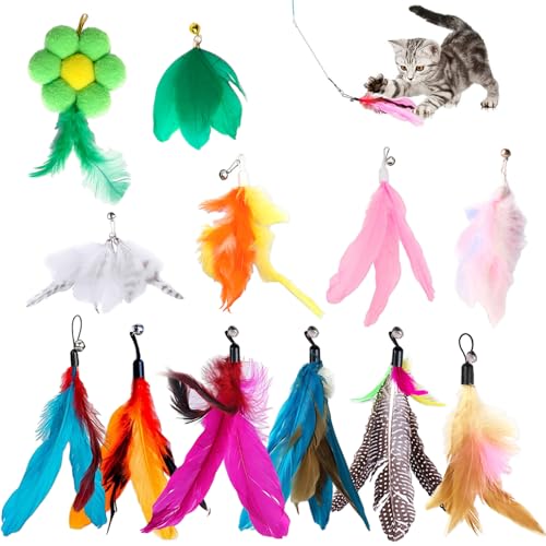 TFLPUO Federspielzeug für Katzen, 12 Stück Interaktives Katzenspielzeug Set Angel Katzenangel Ersatzfedern Bunte Feder Spielzeug Cat Feather Toys mit Glocken TFLPUO Federspielzeug für Katzen, 12 Stück Interaktives Katzenspielzeug Set Angel Katzenangel Ersatzfedern Bunte Feder Spielzeug Cat Feather Toys mit Glocken von TFLPUO