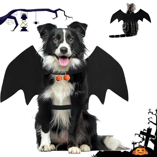 TFSZE Haustier Fledermausflügel, Hund Haustier Halloween Kostüm Mit 2PCS Pumpkin Bell,Einstellbar Ca. 6 Cm Halloween Katzenkostüm, Niedlich Halloween Kostüm, Für Schwarze Halloween Nacht Party-Größe L TFSZE Haustier Fledermausflügel, Hund Haustier Halloween Kostüm Mit 2PCS Pumpkin Bell,Einstellbar Ca. 6 Cm Halloween Katzenkostüm, Niedlich Halloween Kostüm, Für Schwarze Halloween Nacht Party-Größe L von TFSZE