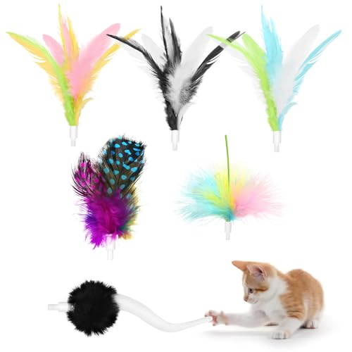 TGFIX 6 Stück Katzen Federspielzeug Ersatzfedern für CT01 Katzenspielzeug Interaktives Katzenspielzeug Austauschbare Feder Spielzeugzubehör Teaser Spielzeug Zubehör für Indoor Katzen Spiel TGFIX 6 Stück Katzen Federspielzeug Ersatzfedern für CT01 Katzenspielzeug Interaktives Katzenspielzeug Austauschbare Feder Spielzeugzubehör Teaser Spielzeug Zubehör für Indoor Katzen Spiel von TGFIX
