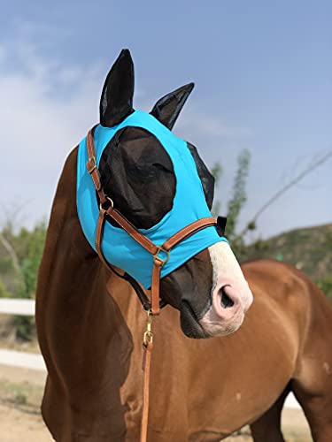 Fliegenmaske mit Ohren von TGW Riding, besonders bequem, Lycra-Griff, weiches Netzgewebe, Pferdemaske mit Ohren, L, Pacific Blue Fliegenmaske mit Ohren von TGW Riding, besonders bequem, Lycra-Griff, weiches Netzgewebe, Pferdemaske mit Ohren, L, Pacific Blue von TGW RIDING