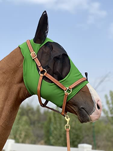 TGW RIDING Fliegenmaske für Pferde, super Komfort, Fliegenmaske für Pferde, Elastizität mit Ohren (M, Hunter Green) von TGW RIDING