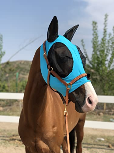 TGW RIDING Fliegenmaske für Pferde, super Komfort, Fliegenmaske für Pferde, Elastizität mit Ohren (M, Pacific Blue) von TGW RIDING