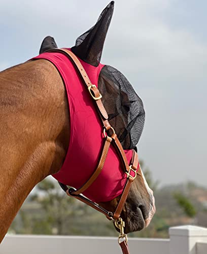 TGW RIDING Fliegenmaske für Pferde, super Komfort, Fliegenmaske für Pferde, Elastizität mit Ohren (M, Rot) von TGW RIDING