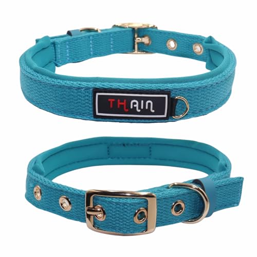 THAIN Hundehalsband, fünf Löcher, goldfarbene Metallschnalle, weiches, bequemes Baumwollgewebe mit Neoprenfutter, passend für kleine Hunde (Blau, S) von THAIN