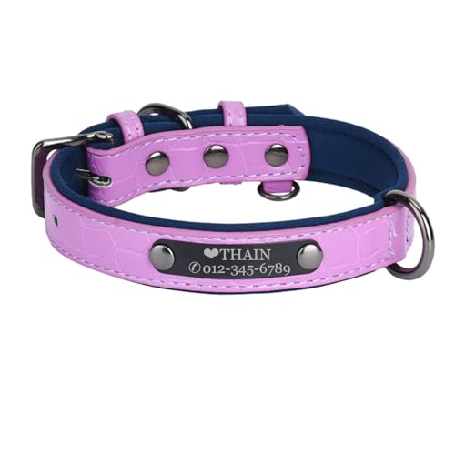 THAIN Personalisierte Hundehalsbänder aus Mikrofaser-Leder mit kostenlosem graviertem Namensschild, gepolstertes Haustierhalsband für Hunde (Lila+Blau, L) von THAIN