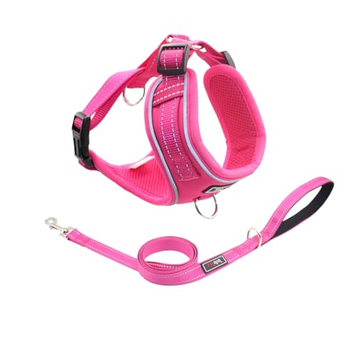 THAIN Reflektierendes Hundegeschirr und Leine, kein Ziehen, verstellbar und bequem für große Hunde (L, Solid Rose Red) von THAIN