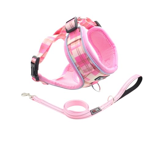 THAIN Reflektierendes Hundegeschirr und Leine, kein Ziehen, verstellbar und bequem für kleine Hunde (S, Pink Plaid) von THAIN