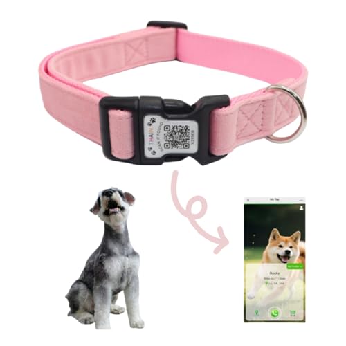 THAIN Smart QR-Code Hundehalsband, Nylon & Samt, Haustierhalsband mit einzigartiger ID-Registrierung, verstellbare Kunststoffschnalle für kleine Hunde, Schwarz, Rot, Rosa, Gelb (Rosa, S) von THAIN