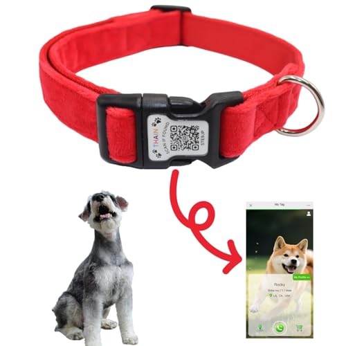 THAIN Smart QR-Code Hundehalsband, Nylon & Samt, Haustierhalsband mit einzigartiger ID-Registrierung, verstellbare Kunststoffschnalle für kleine Hunde, Schwarz, Rot, Rosa, Gelb (Rot, S) von THAIN
