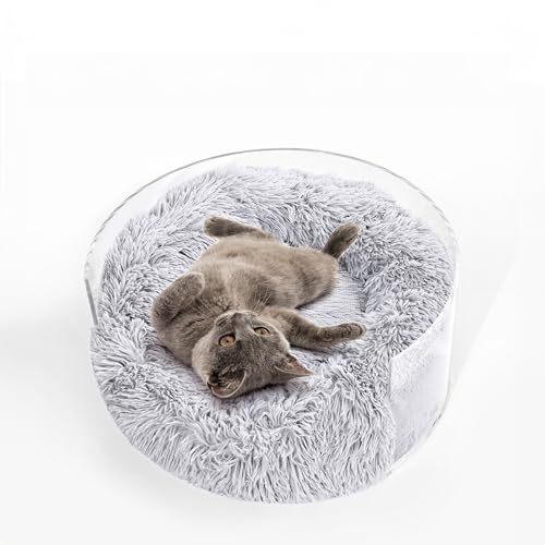 THE LICKER STORE CBD2000A Bette Haustierbett mit waschbarem Bezug, 52,7 x 52,7 cm, klein/mittelgroß, modern, Lucite, flauschig, Donut-Haustierbett, mit waschbarem Bezug, Hellgrau/Transparent THE LICKER STORE CBD2000A Bette Haustierbett mit waschbarem Bezug, 52,7 x 52,7 cm, klein/mittelgroß, modern, Lucite, flauschig, Donut-Haustierbett, mit waschbarem Bezug, Hellgrau/Transparent von THE LICKER STORE
